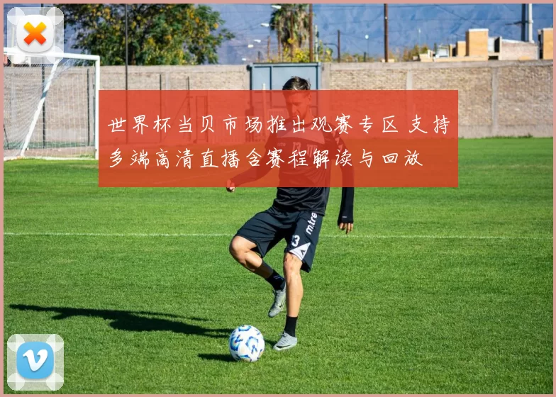 世界杯当贝市场推出观赛专区 支持多端高清直播含赛程解读与回放