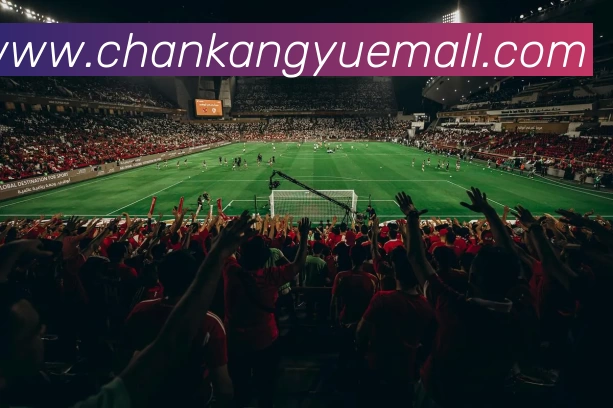 欧宝官方端网站登录入口 - 欧宝(中国)发展历程